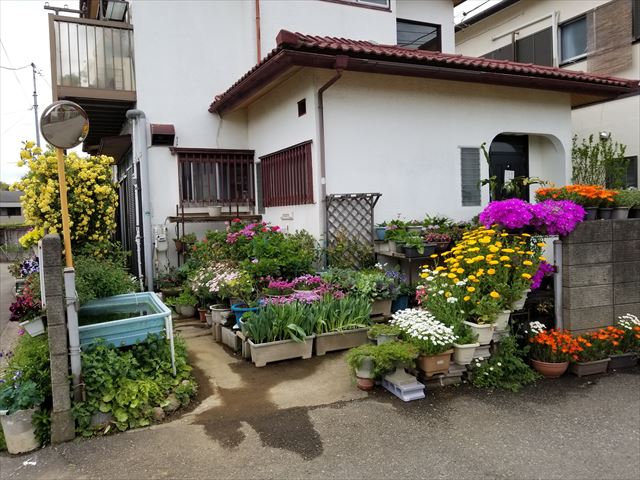 20190429_114224_R