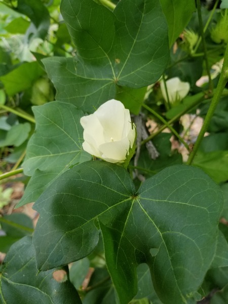 20190826_090841-1620x2160