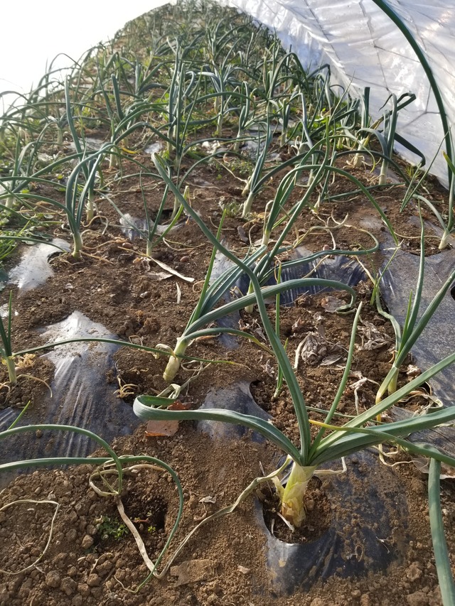 20220120_084533_copy_2268x3024