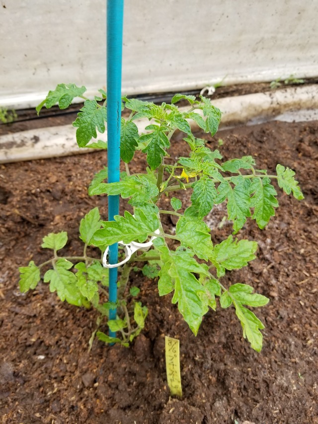 20210425_084707_copy_2268x3024