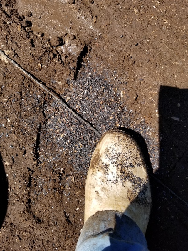 20210806_095107_copy_2268x3024