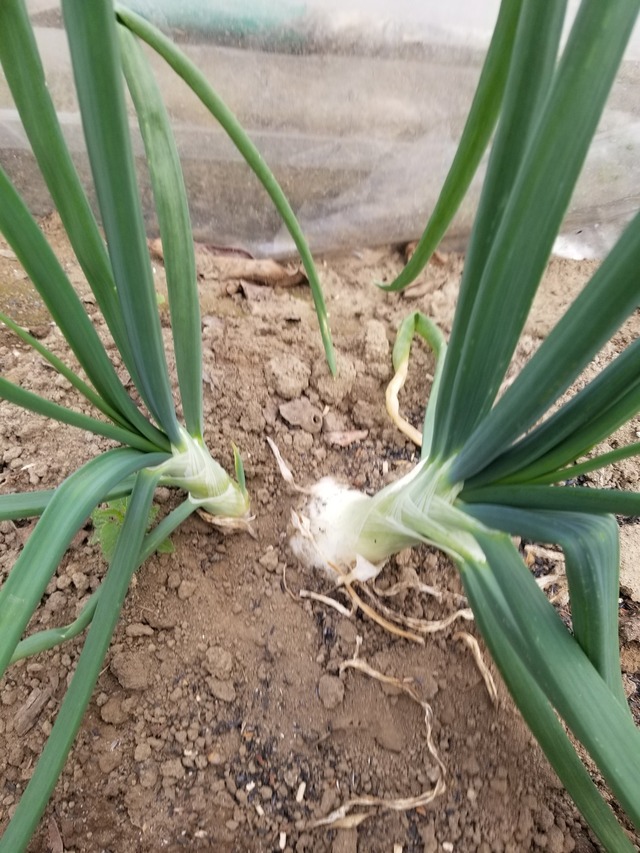 20231211_101014_copy_1512x2016