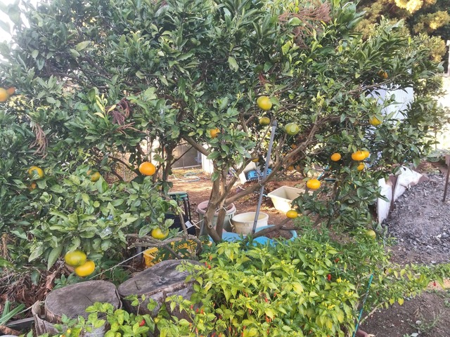 IMG_20231108_140836_DRO_copy_2016x1512