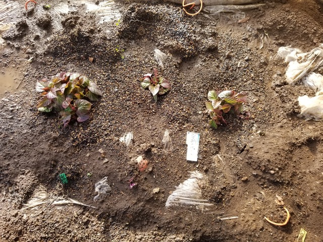 20230311_151220_copy_1612x1209