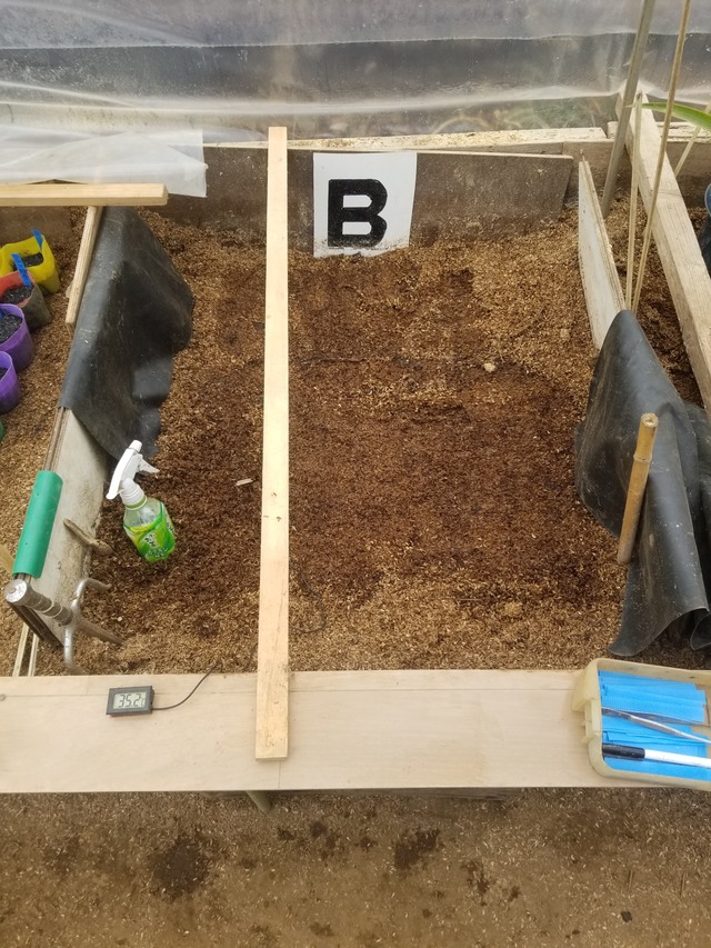 20240128_100132_copy_1512x2016