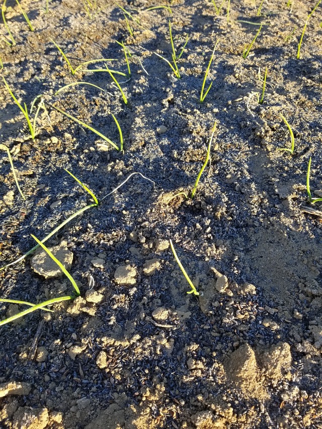 20211227_074731_copy_2268x3024