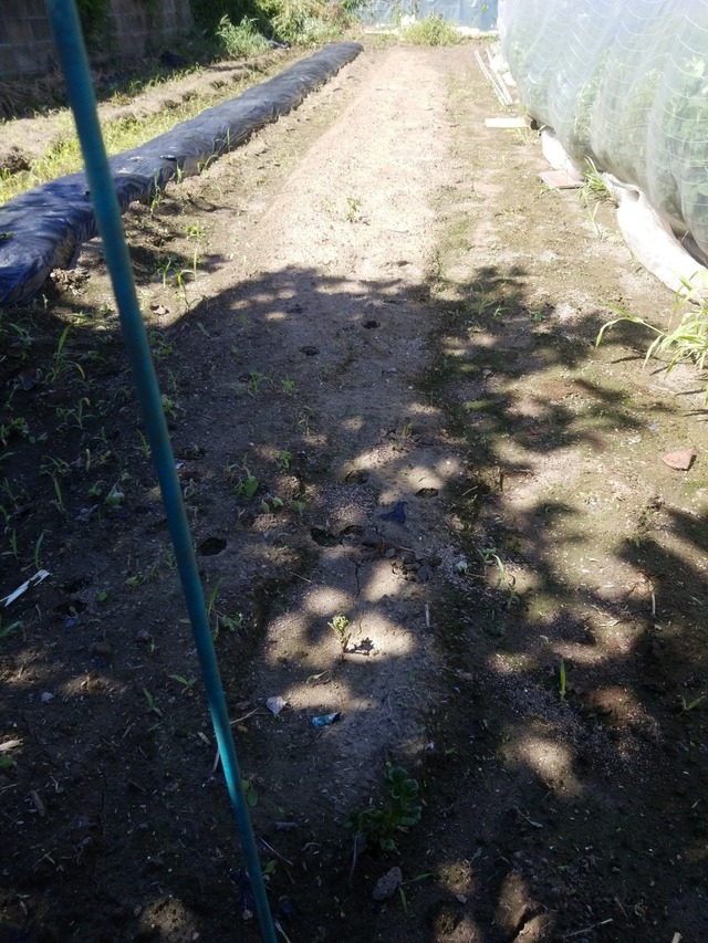 IMG_20230913_105906_copy_1512x2016