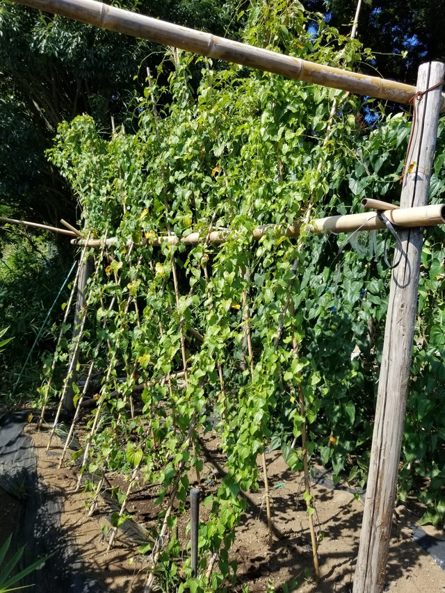 20230805_145237_copy_1512x2016