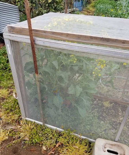 20190408_082534-1200x1600