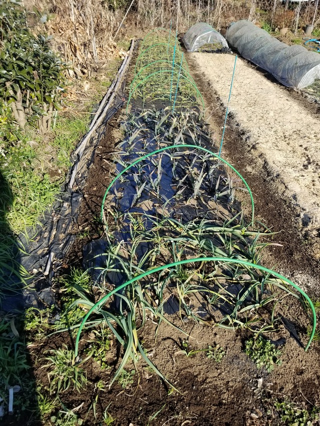 20211230_091335_copy_2268x3024