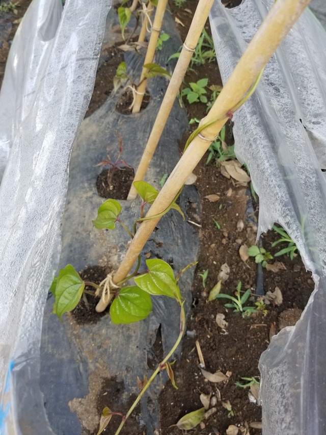 20230510_085025_copy_1512x2016