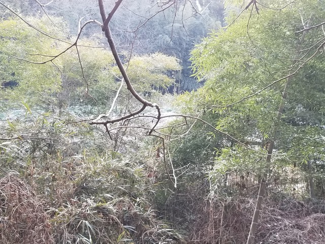 20210220_071631_copy_3024x2268