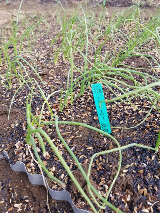 20221028_101820_copy_1512x2016