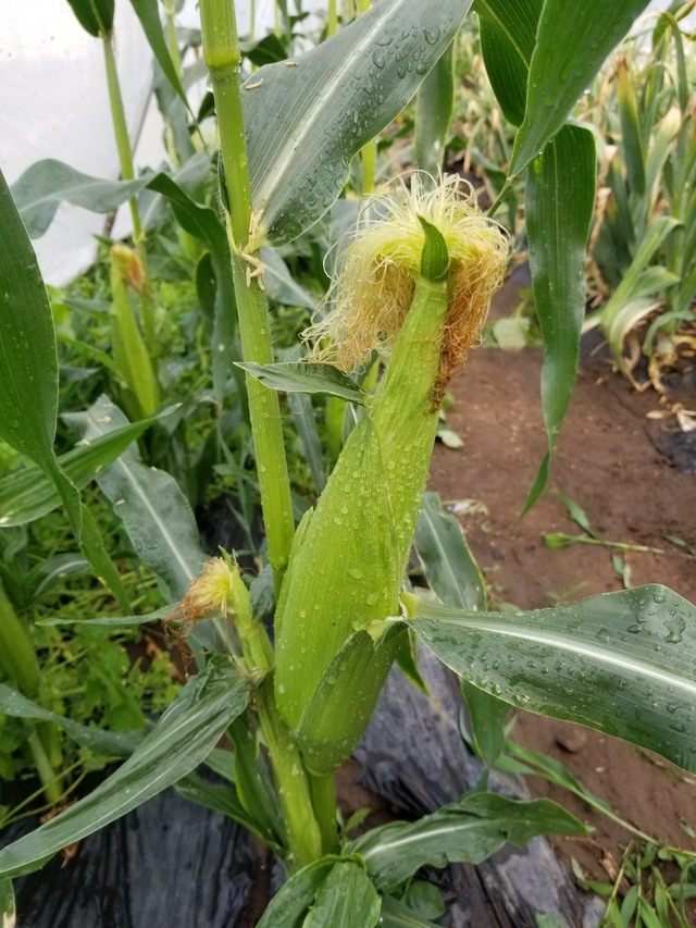 20230522_150720_copy_2268x3024