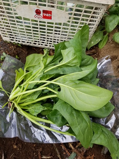 20200214_082548-2268x3024