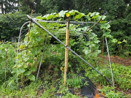 20190712_080031-2160x1620