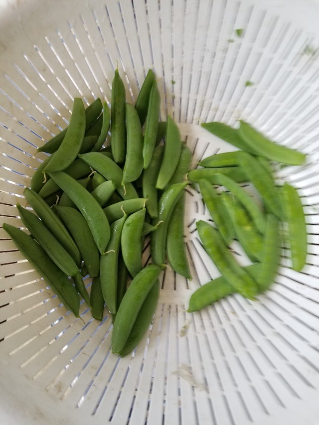 20230426_075222_copy_1512x2016