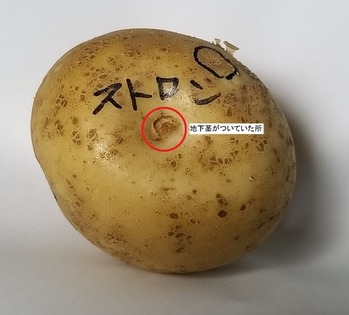 22img__m