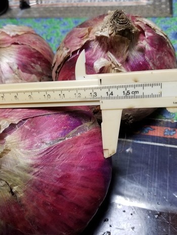 22img__m