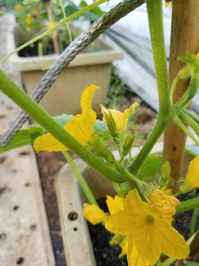 20220519_080254_copy_2268x3024