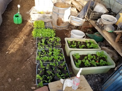 20200124_080822-3024x2268