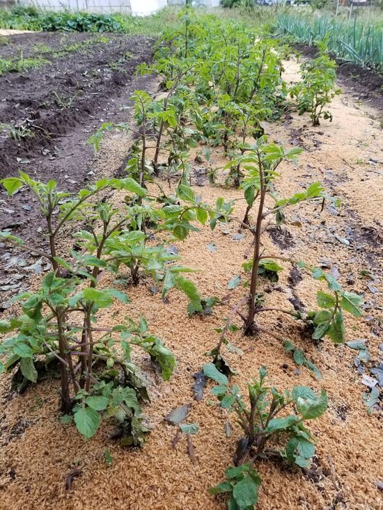 20191022_151350-1620x2160