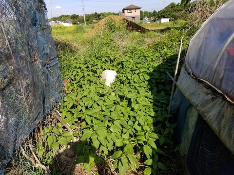 20190516_073732-2160x1620