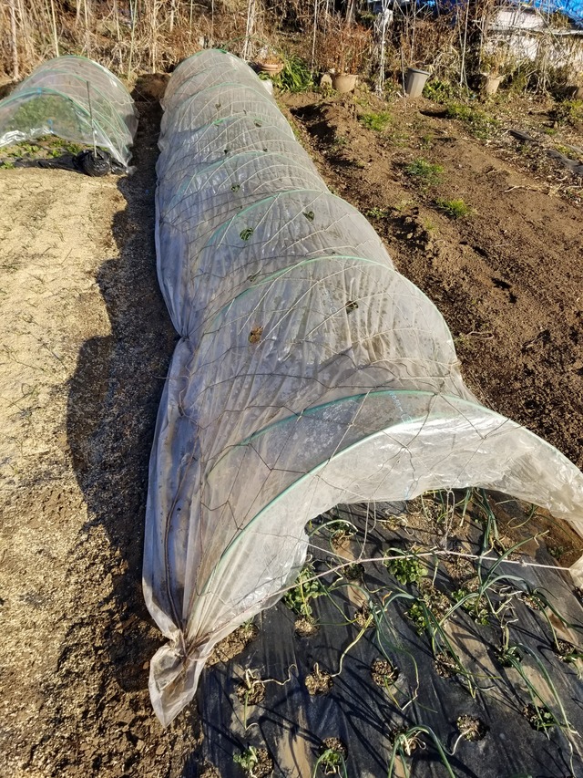 20220120_084322_copy_2268x3024