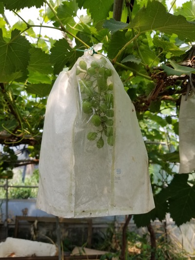 20190617_090046-1620x2160