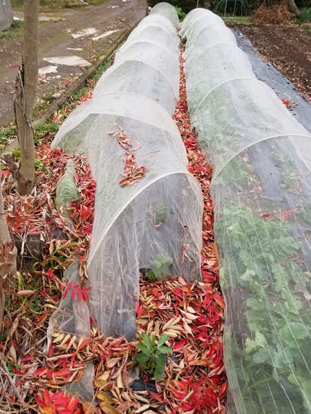 20191222_143229-2268x3024