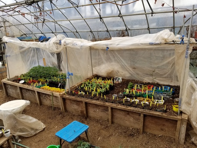 20190408_080823-1600x1200