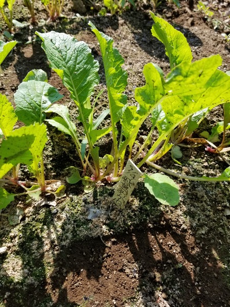 20190927_084220-1620x2160