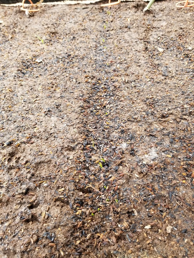 20230806_130620_copy_1512x2016