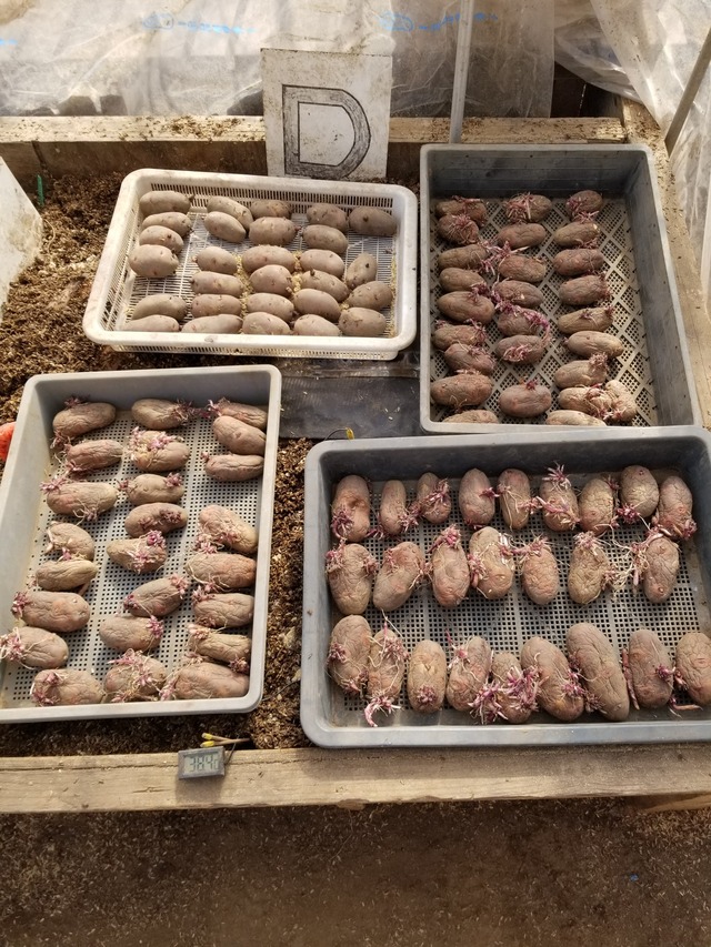 20230226_133933_copy_1512x2016