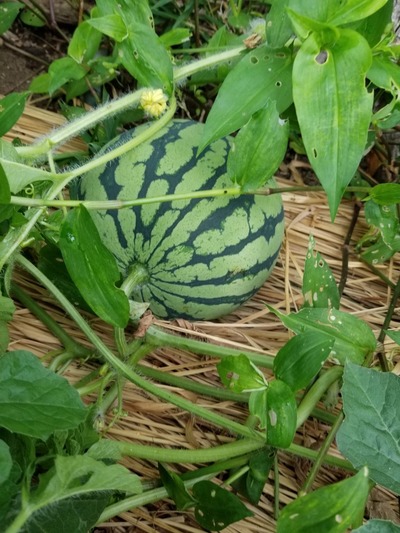 20190627_090334-831x1108