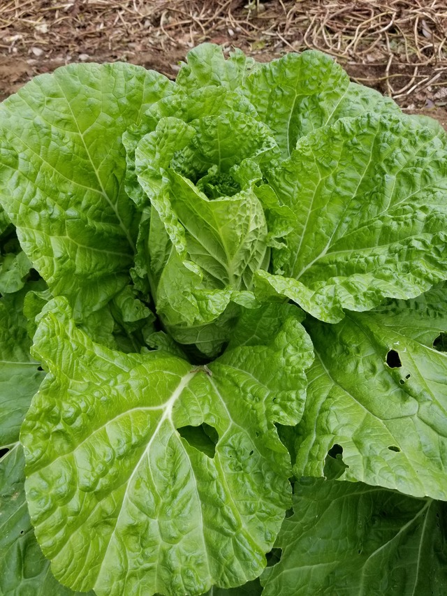 20211031_093521_copy_2268x3024