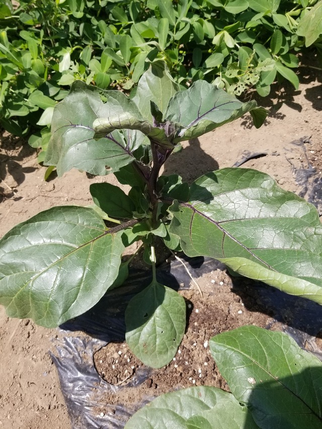 20230724_101853_copy_1512x2016