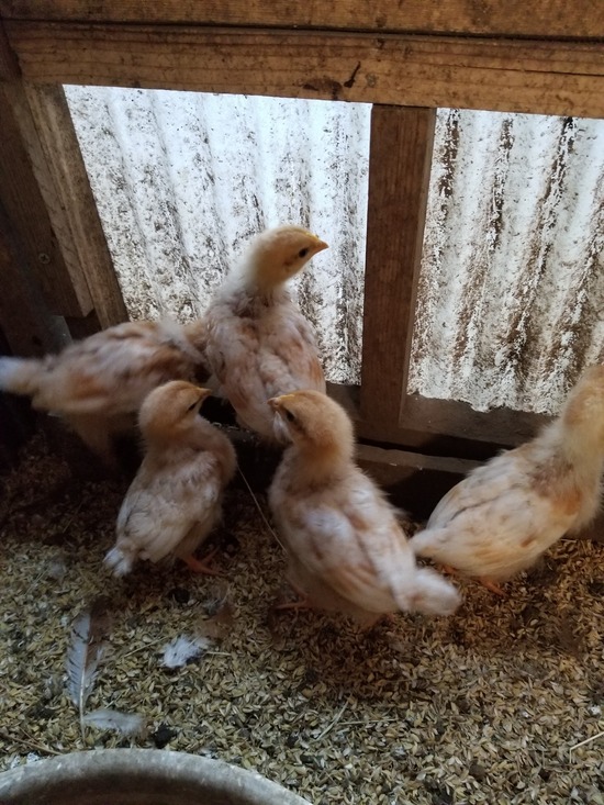 20191120_085454-1620x2160