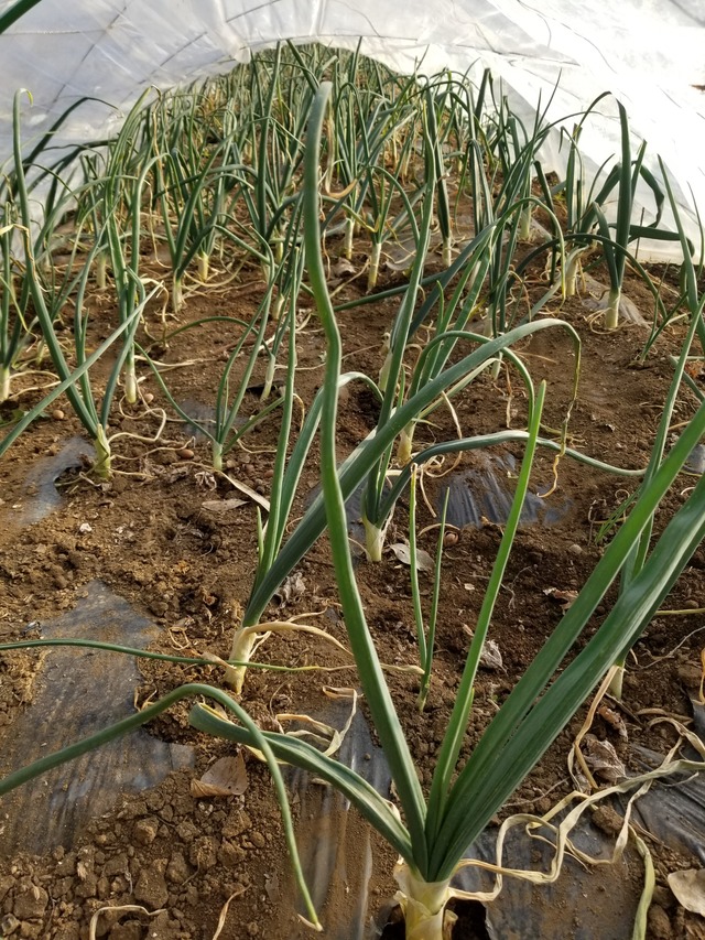 20220128_154846_copy_2268x3024