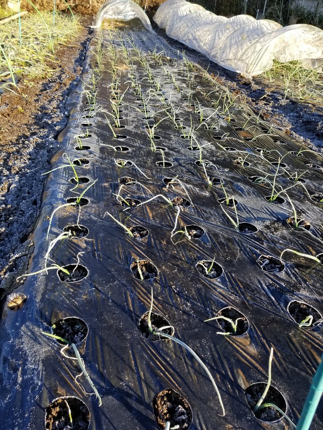 20211220_075046_copy_2268x3024