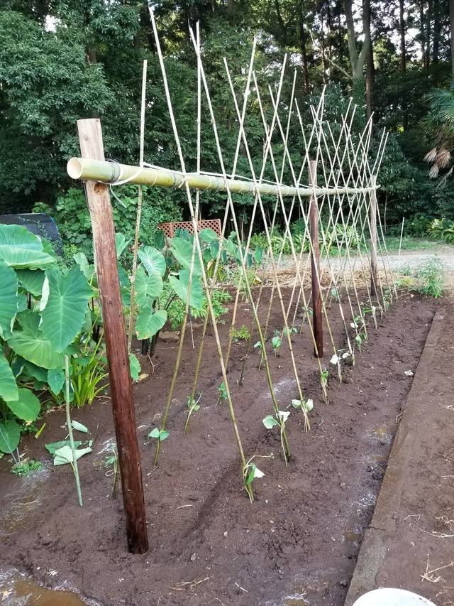 20230731_153402_copy_1512x2016