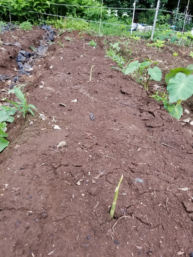 20210625_083344_copy_2268x3024