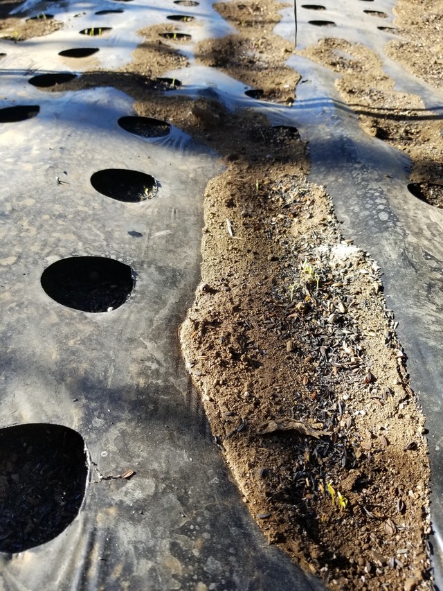 20230826_071446_copy_1512x2016