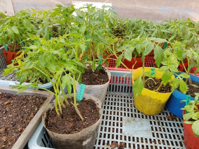 20230321_110434_copy_1612x1209