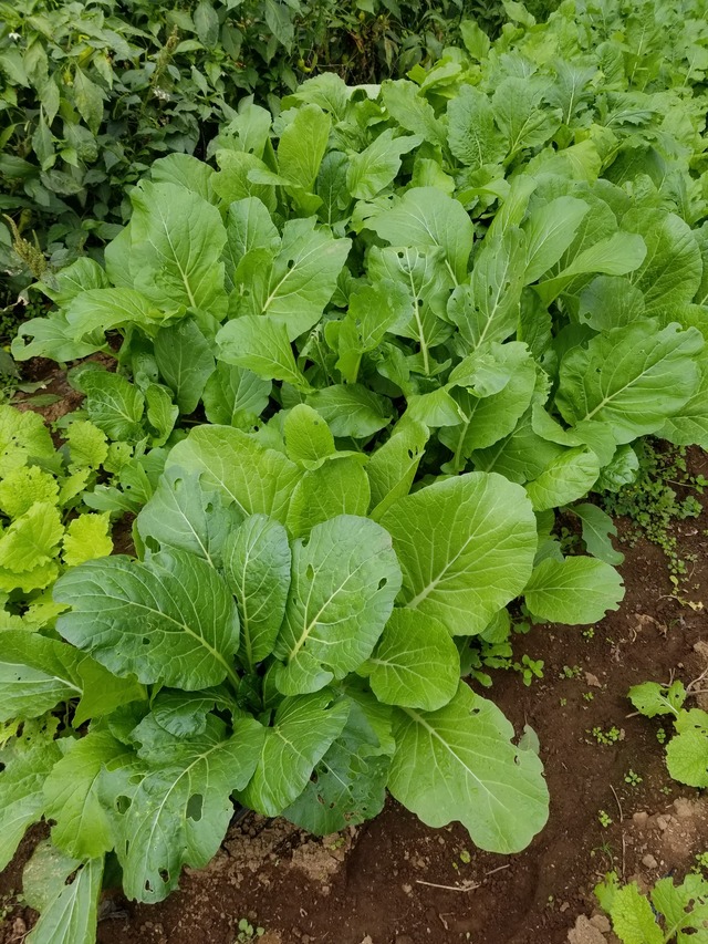 20201108_095631_copy_2268x3024
