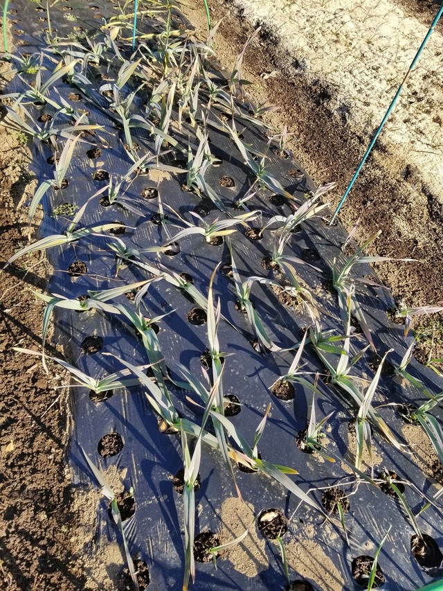 20211230_091352_copy_2268x3024