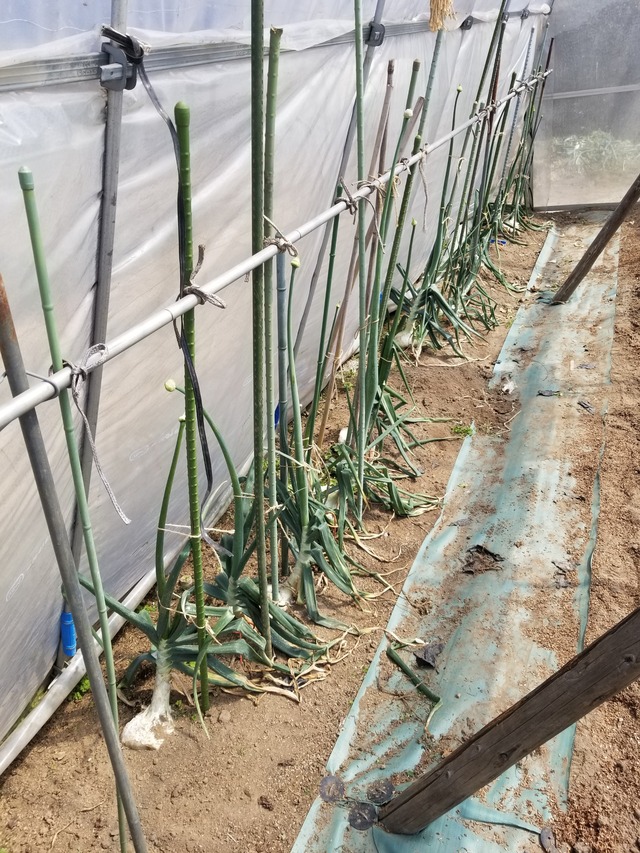 20240322_112138_copy_2268x3024