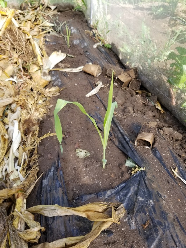 20220709_152752_copy_1512x2016