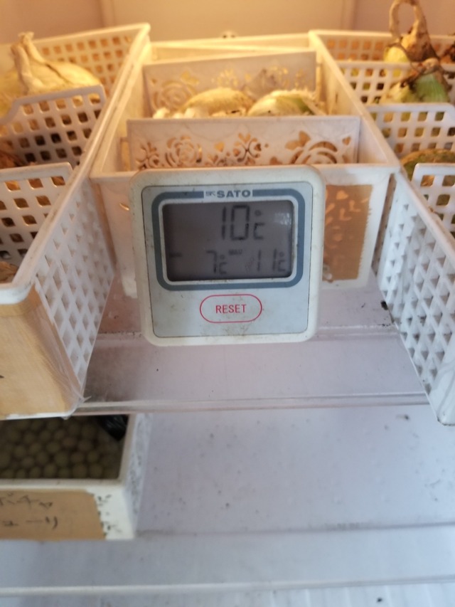 20230624_144335_copy_1512x2016