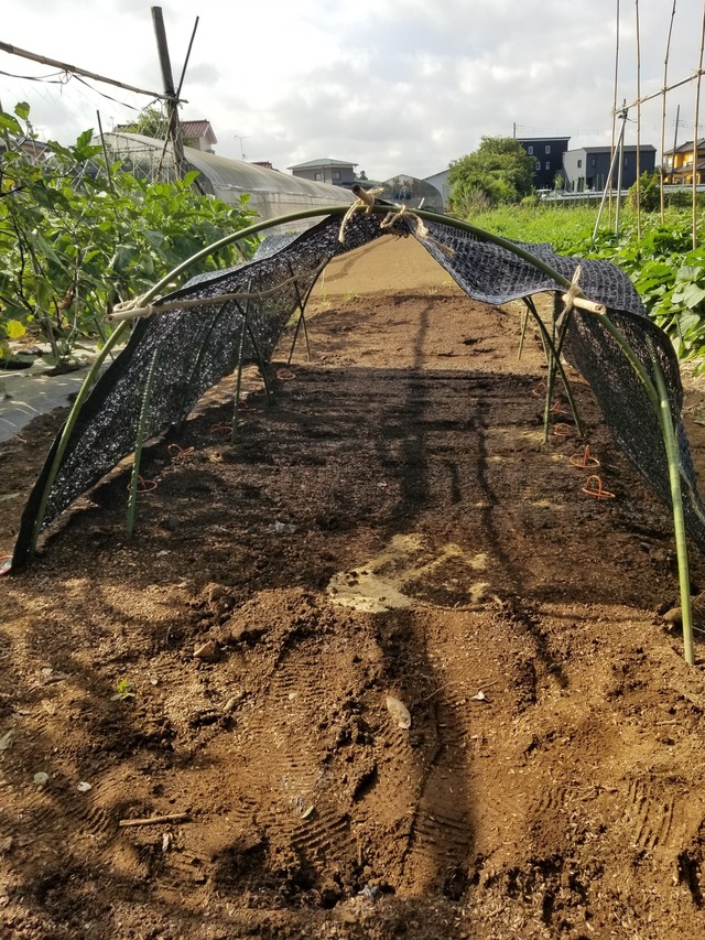 20230802_075946_copy_1512x2016